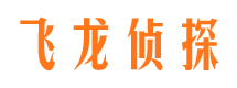 龙文侦探公司